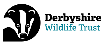 Derbyshire Wildlife Trust