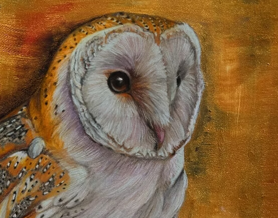 Painting of a barn owl