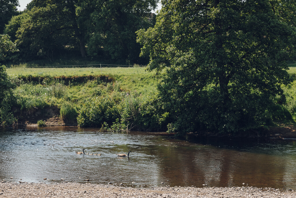 River Derwent, Derbyshire, at Peak Village Nature Reserve