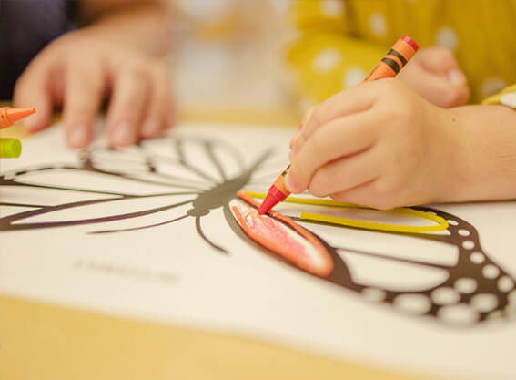 Child colouring in a drawing of a butterfly
