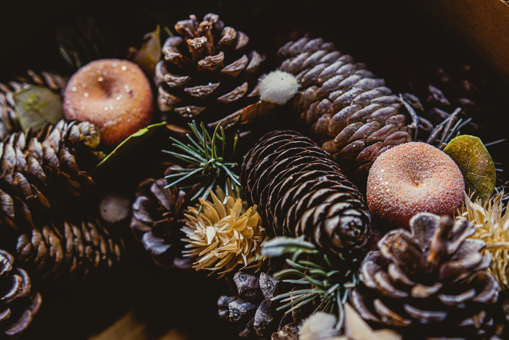 A group of pine cones, pine branches and sparkly apples